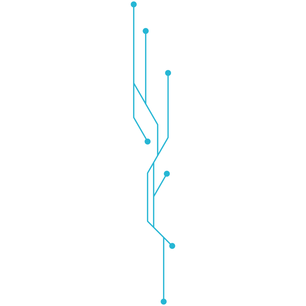 financial software and systems Bitcodeit
